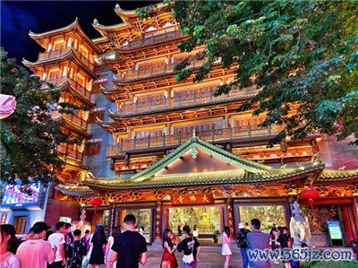 广州QM名花-与广州花卉共享美好时光